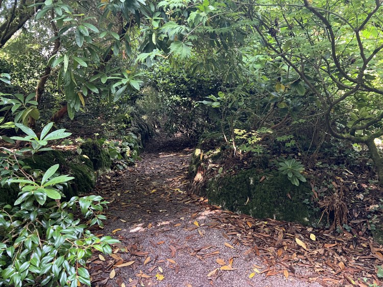 Fairy Glade, Blarney